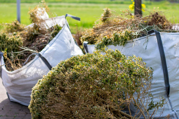 Best Trash Removal Near Me  in Maggie Valley, NC