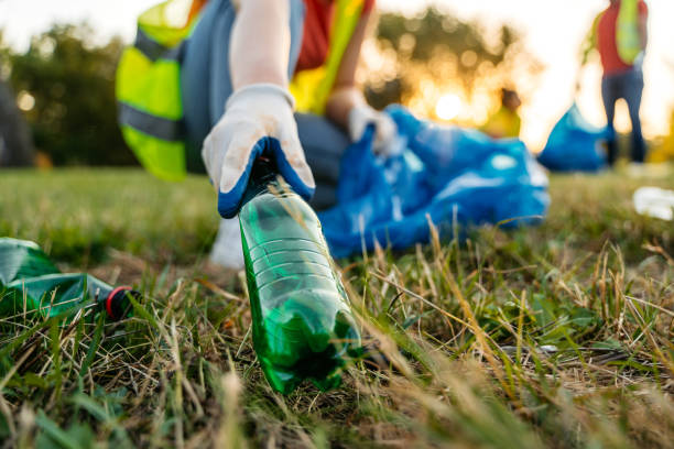 Yard Cleanup Services in Maggie Valley, NC